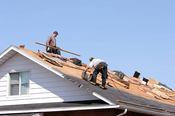 Best Rubber Roofing (EPDM, TPO)  in Port Barrington, IL